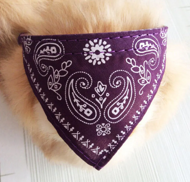 14" Bandana Collars with Cheetah Band