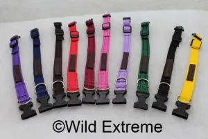 20mm Padded Webbing Dog Collar - Acetal Buckle (Med)