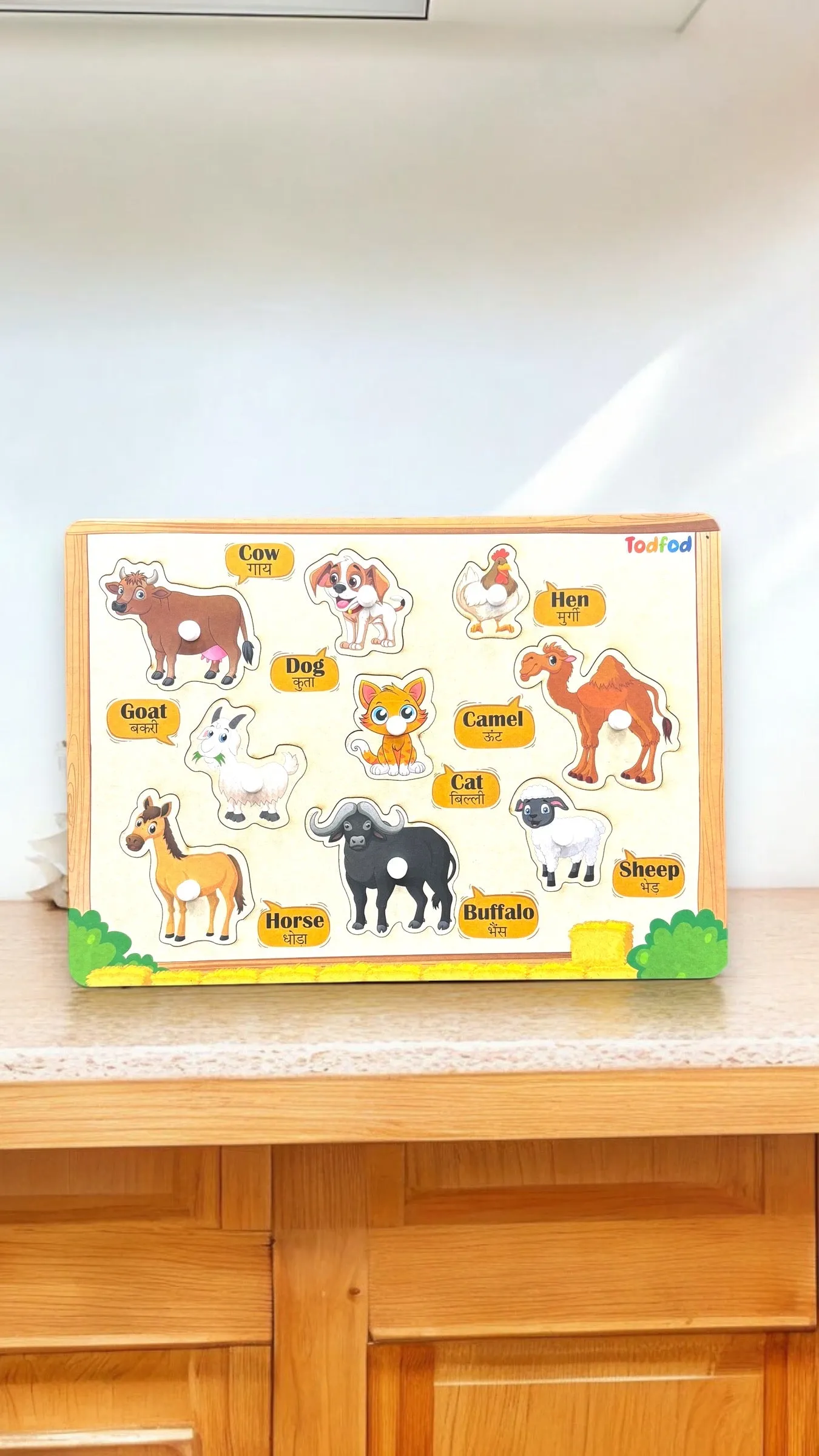 ABCD & Pet Animal Characters Knob & Pegged Puzzle for Kids