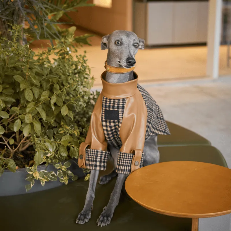 Ashwood Checked Jacket