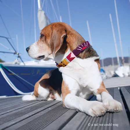 ATWCW At the Beach Maui - Mayan Artisan-Handmade Pet Leash