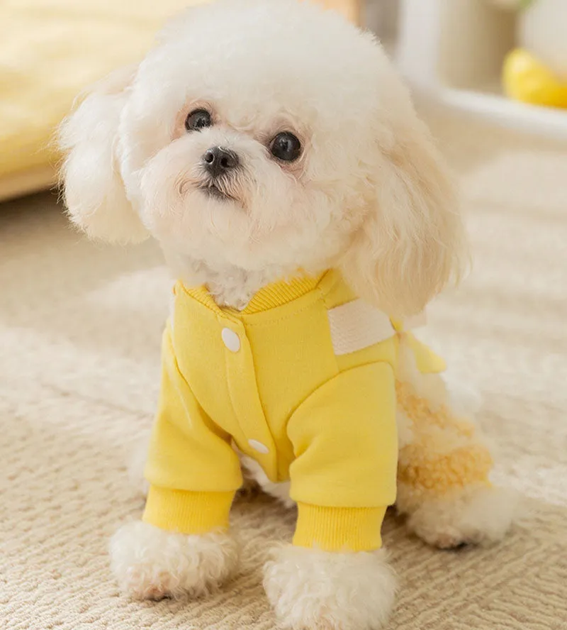 Autumn and winter dog thick warm moon rainbow striped four-legged overalls cat Teddy Bichon pet clothes
