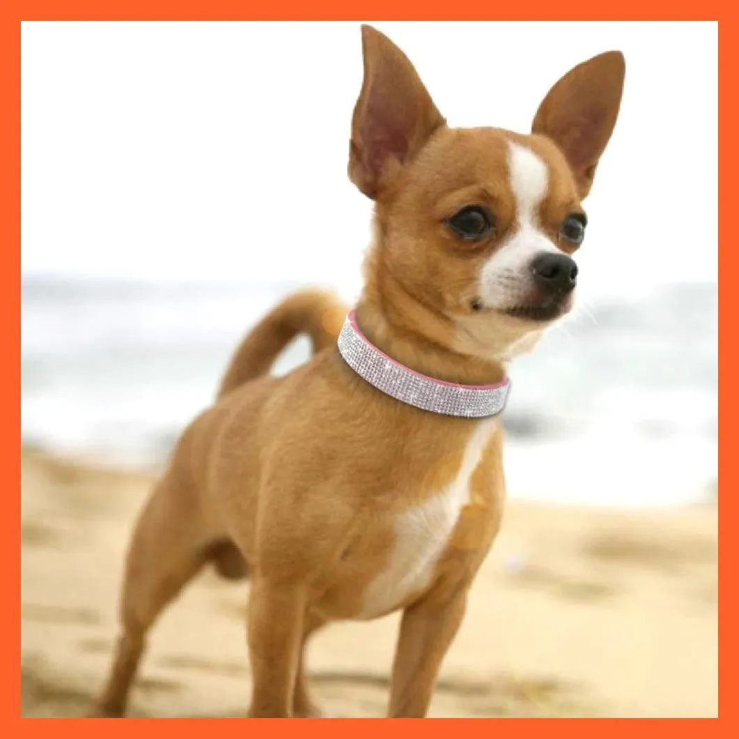 Bling Suede Leather Rhinestone Dog Cat Collars | Pet Puppy Kitten Collar Walk Leash Lead | For Small Medium Dogs Cats