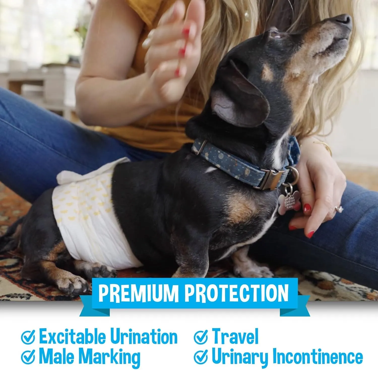 Bodhi Dog Disposable Male Dog Diapers - Super Absorbent, Leak-Proof Pee Wraps - Adjustable Fit, Comfortable Design, Advanced Moisture Control, and Wetness Indicator - Extra Large (20 Count)