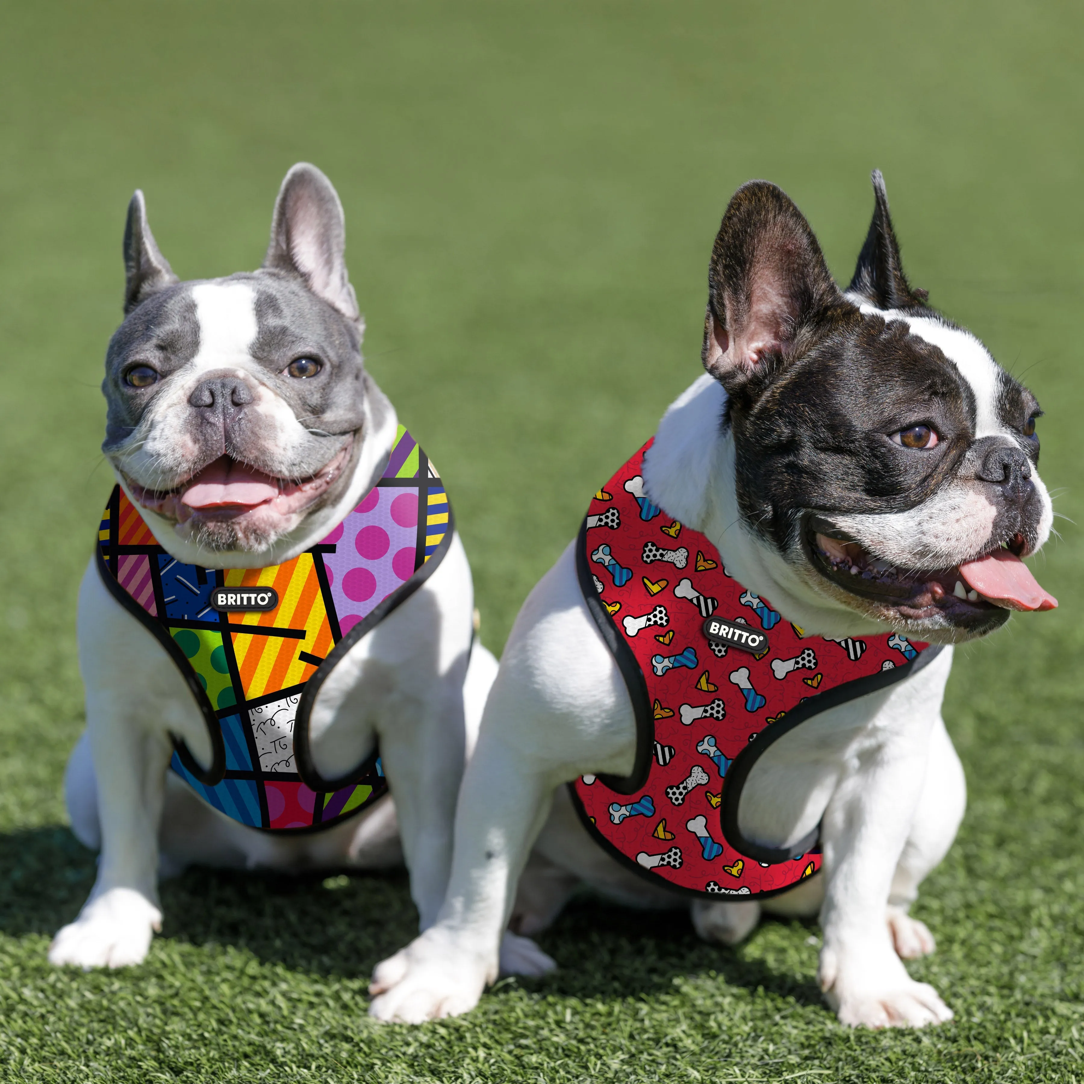 BRITTO® PET Small Dog Harness and Leash  - Colorful Landscape