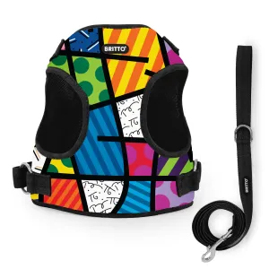 BRITTO® PET Small Dog Harness and Leash  - Colorful Landscape
