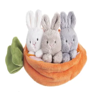 Carrot Learn and Grow