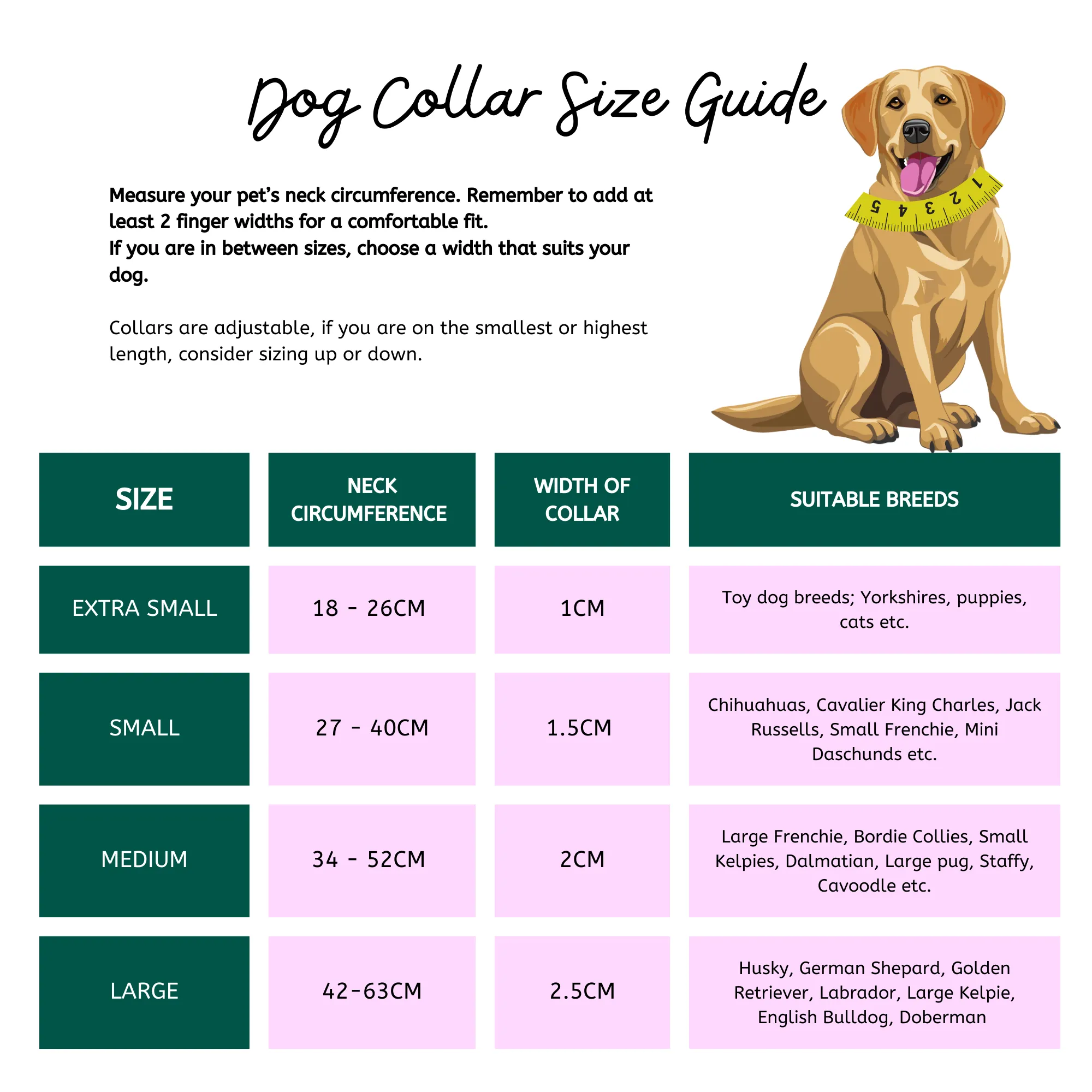Cats and Dogs Party - Adjustable Dog Collar