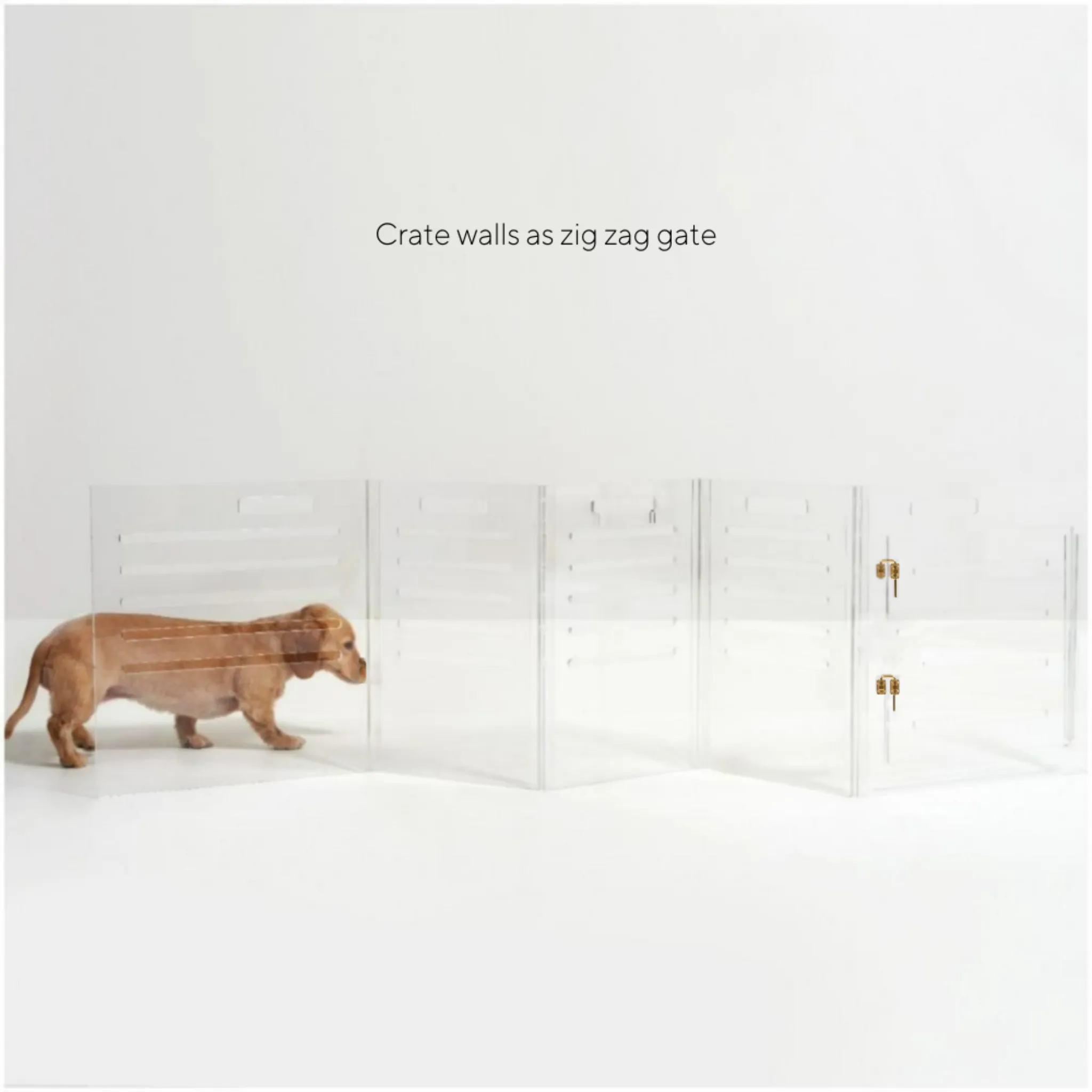 Clear Dog Crate to Gate
