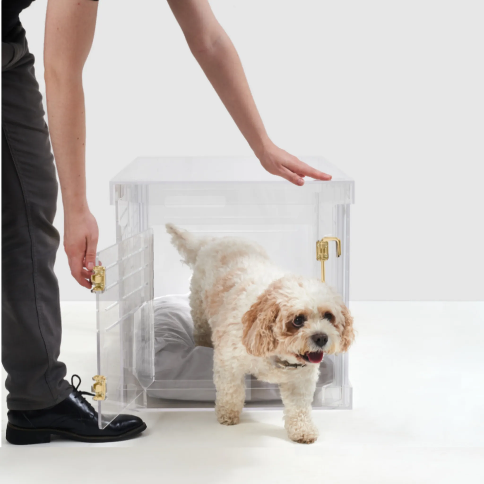 Clear Dog Crate to Gate
