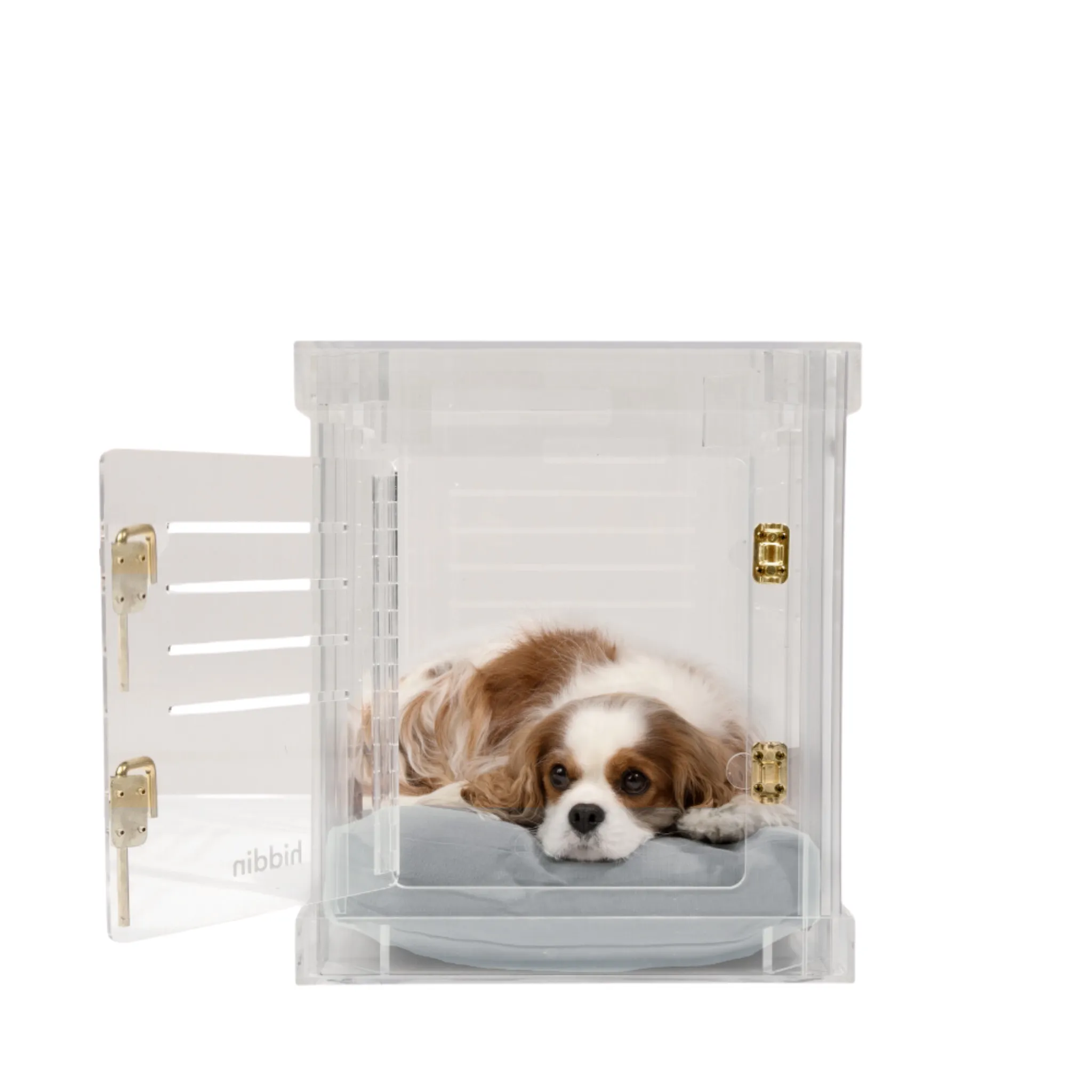 Clear Dog Crate to Gate