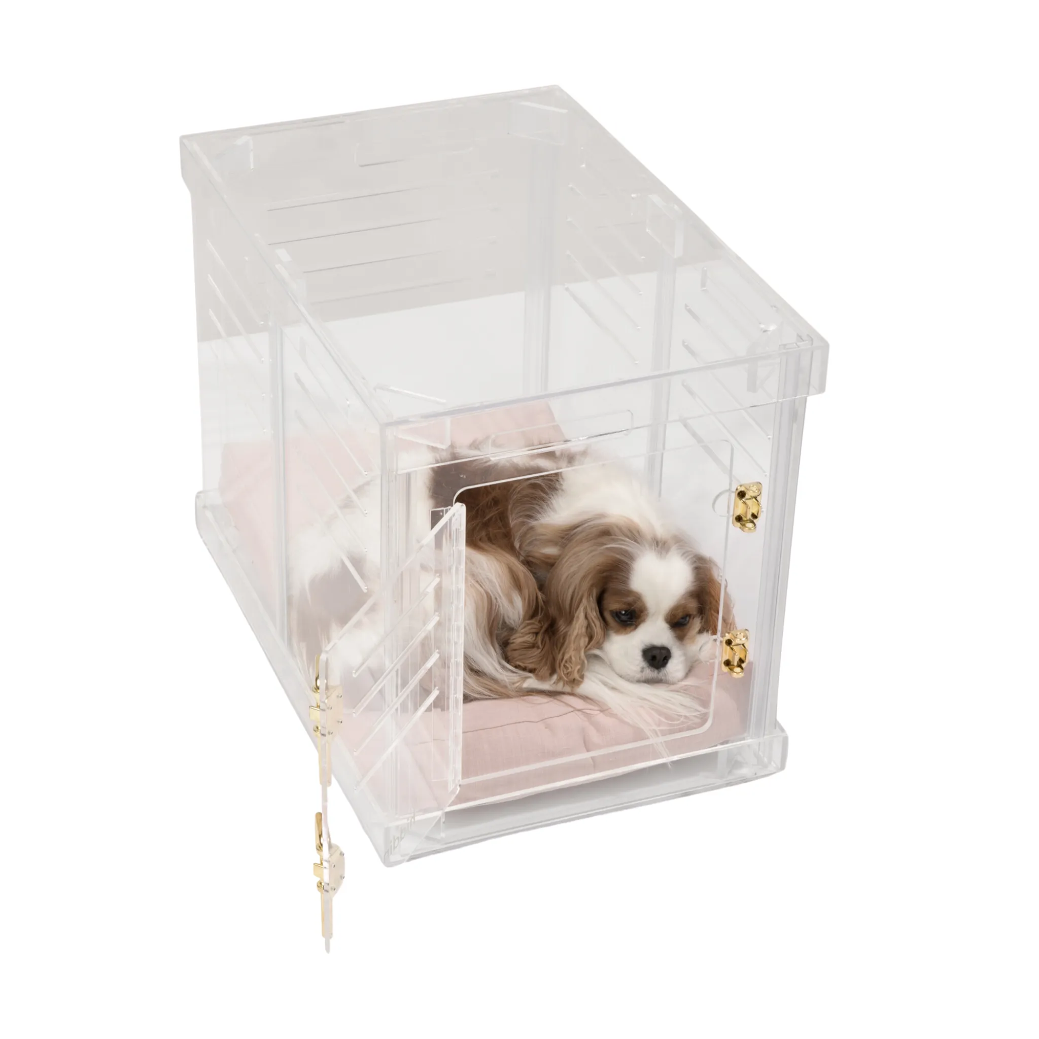 Clear Dog Crate to Gate