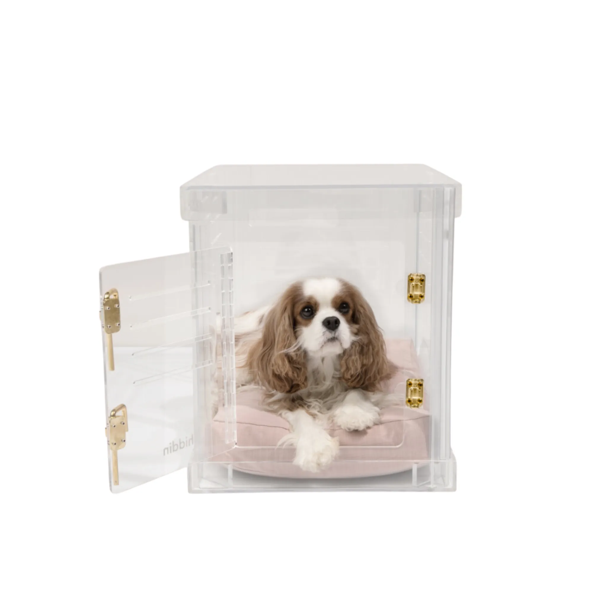 Clear Dog Crate to Gate