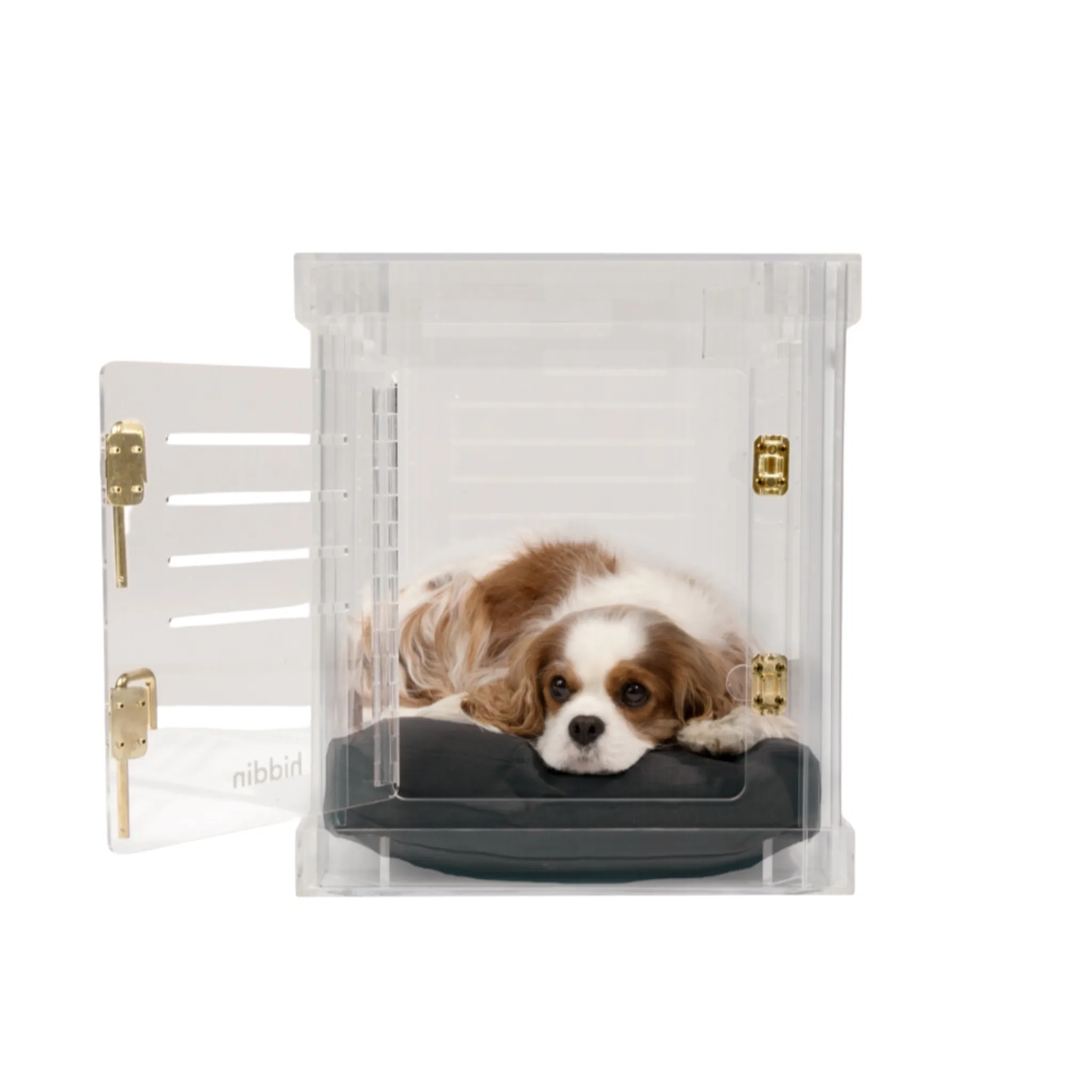 Clear Dog Crate to Gate