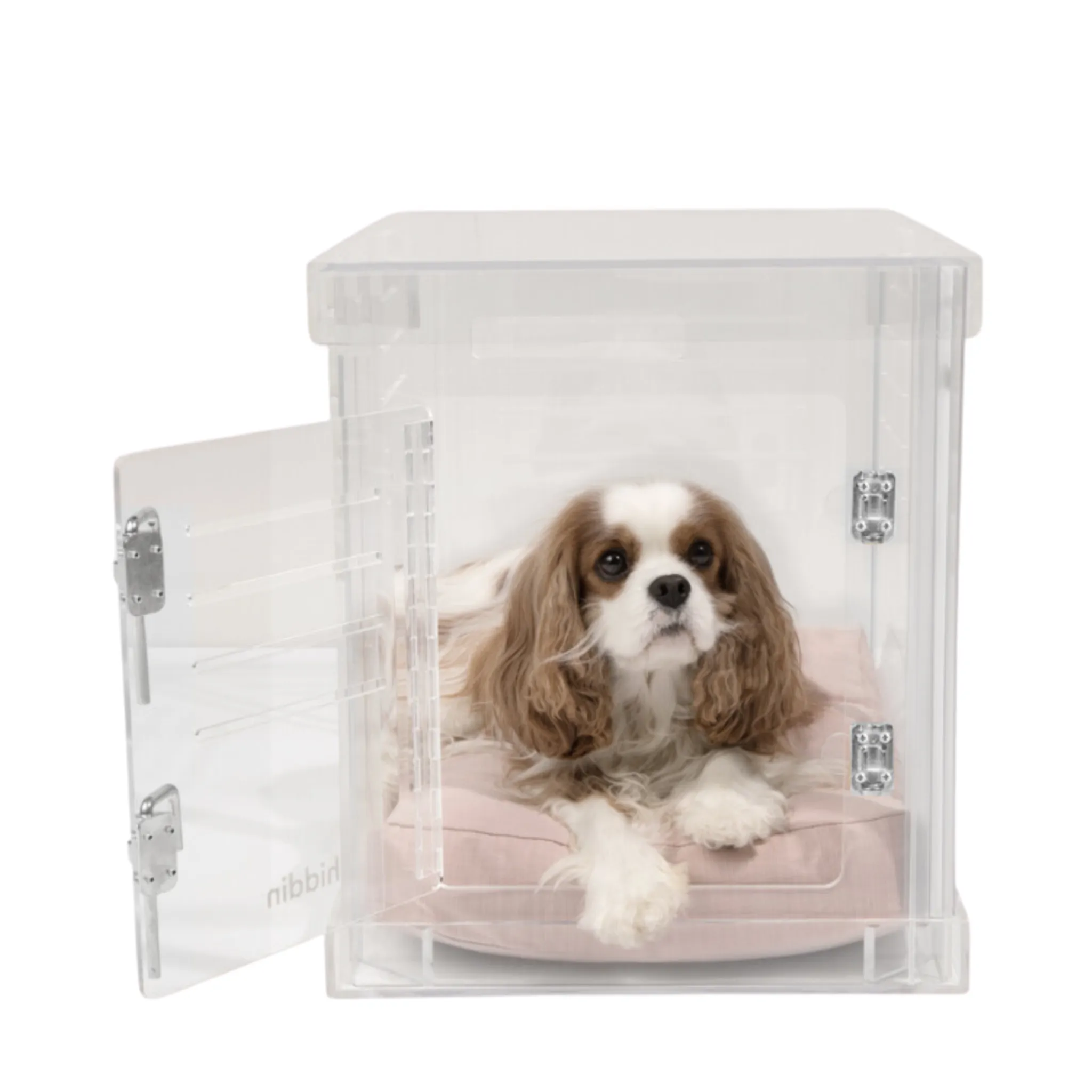 Clear Dog Crate to Gate