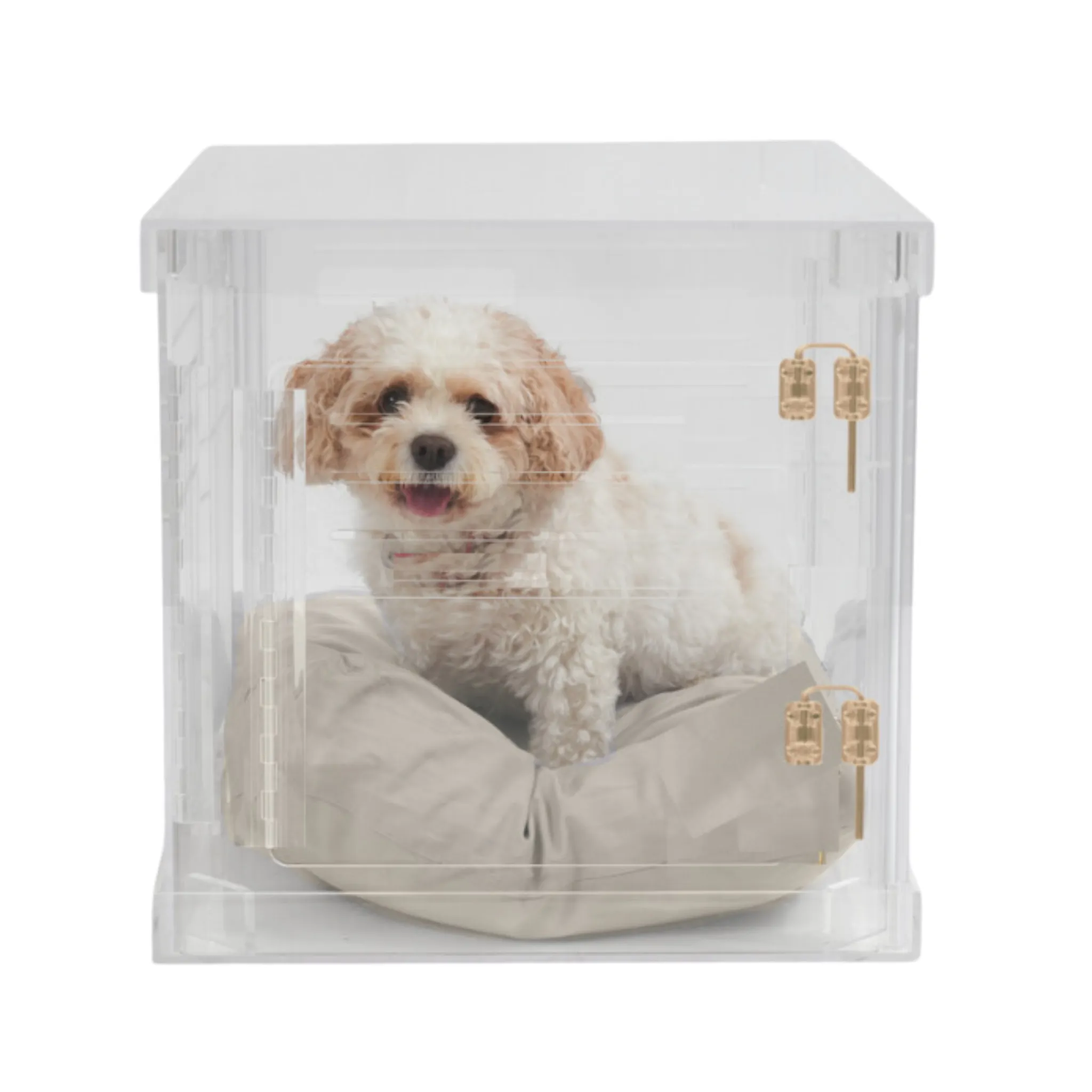 Clear Dog Crate to Gate