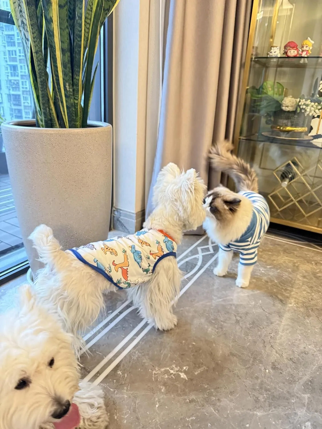 Cute Dog Clothes Striped Dog Polo Shirts Cute Sweater Puppy Clothes Gentle Sweater Pet Clothes for Small Medium Large Dogs Cats (Blue Stripe, Medium Size for 5.5-8.5lb Pets)