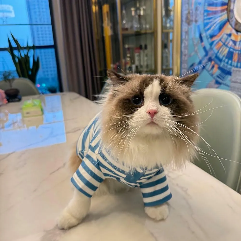 Cute Dog Clothes Striped Dog Polo Shirts Cute Sweater Puppy Clothes Gentle Sweater Pet Clothes for Small Medium Large Dogs Cats (Blue Stripe, Medium Size for 5.5-8.5lb Pets)