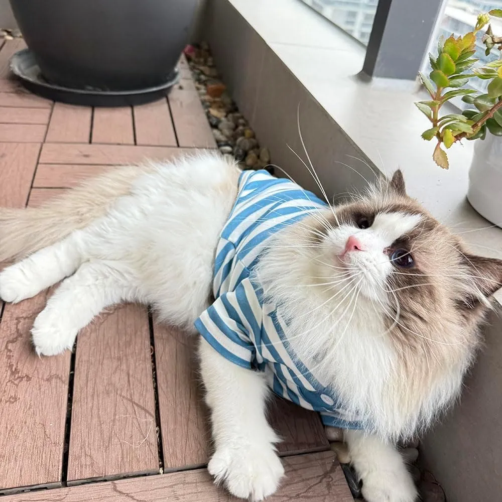 Cute Dog Clothes Striped Dog Polo Shirts Cute Sweater Puppy Clothes Gentle Sweater Pet Clothes for Small Medium Large Dogs Cats (Blue Stripe, Medium Size for 5.5-8.5lb Pets)