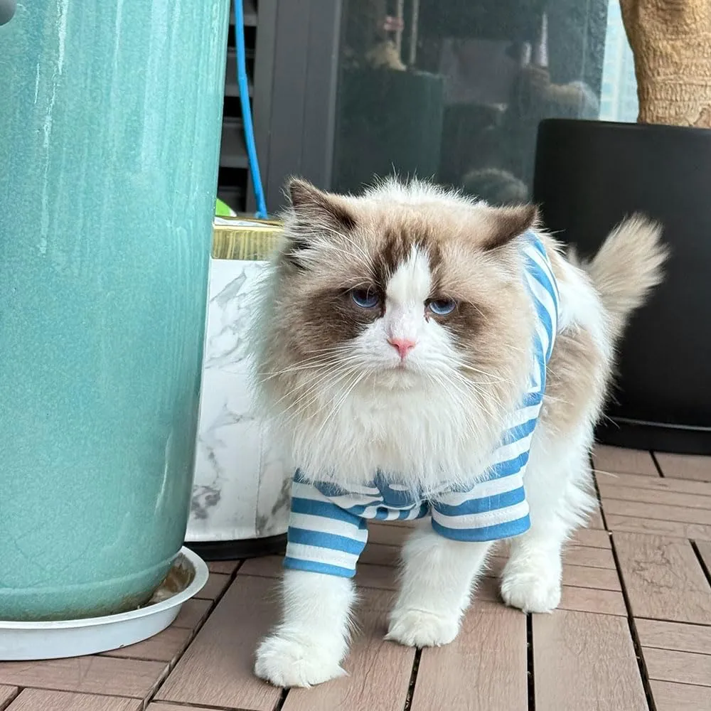 Cute Dog Clothes Striped Dog Polo Shirts Cute Sweater Puppy Clothes Gentle Sweater Pet Clothes for Small Medium Large Dogs Cats (Blue Stripe, Medium Size for 5.5-8.5lb Pets)