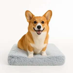 Dog Bed with Removable Cover, Orthopedic Dog Bed (Medium) - Premium Quality, Washable & Portable,Multiple Sizes, Stylish Design, Removable Cover, Size(19.68 x 15.74 X 2) inch