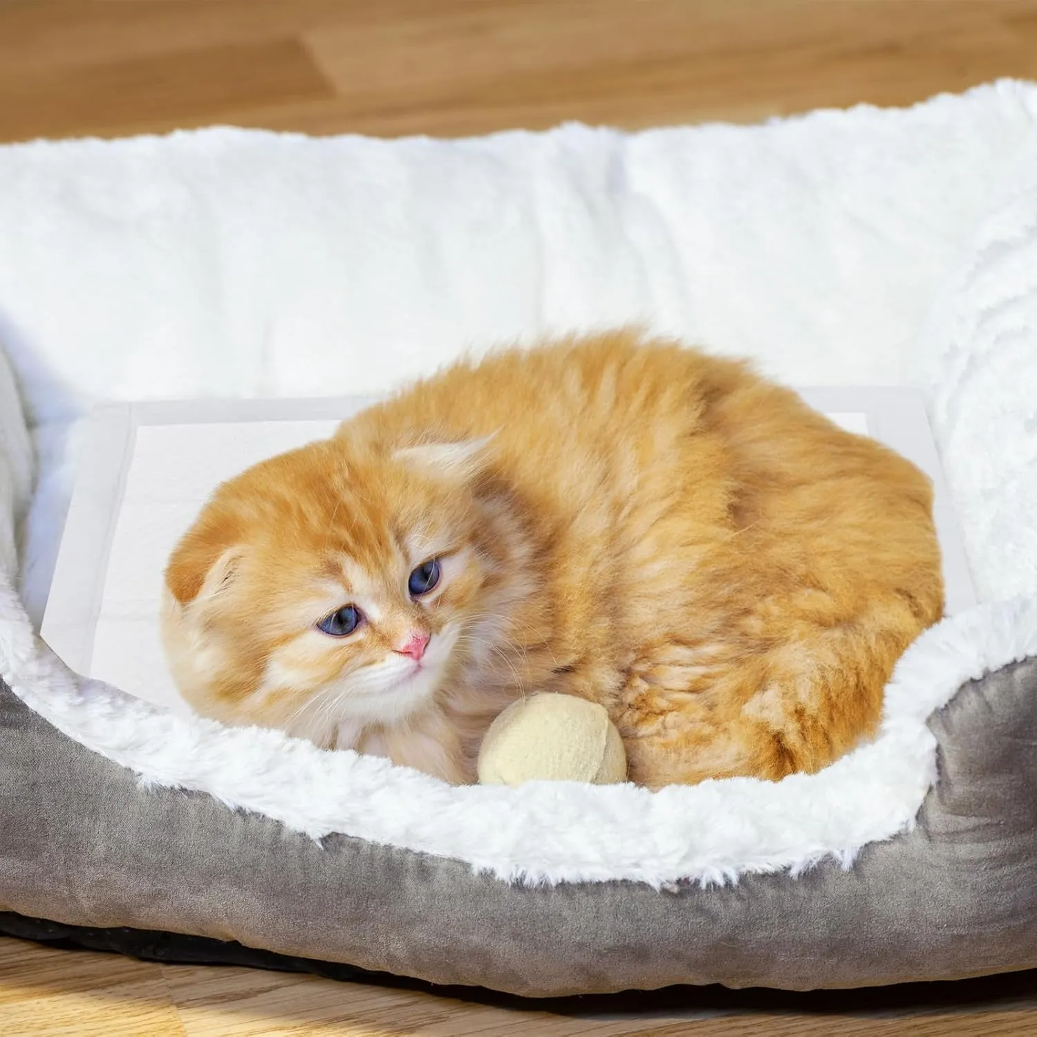 Dog Pee Training Pads with Super Absorbent, Disposable Pet Pads with Leak Proof and Quick Dry for Dogs Puppy Cats Potty Control, 17" x 24" Underpads for Incontinence -White(50 Count)