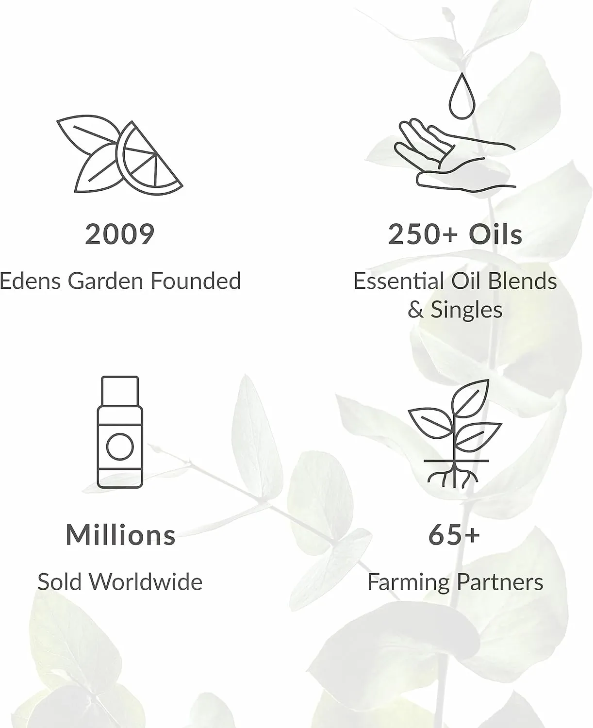 Edens Garden OK For Kids Essential Oil Roll-On 3 Set 100% Pure Therapeutic Grade, Natural Aromatherapy Blends Gentle & Pre-Diluted, Includes Bee Happy, Calm 'Em Down & Focus, 10 ml Roll-On/ 3 Pack