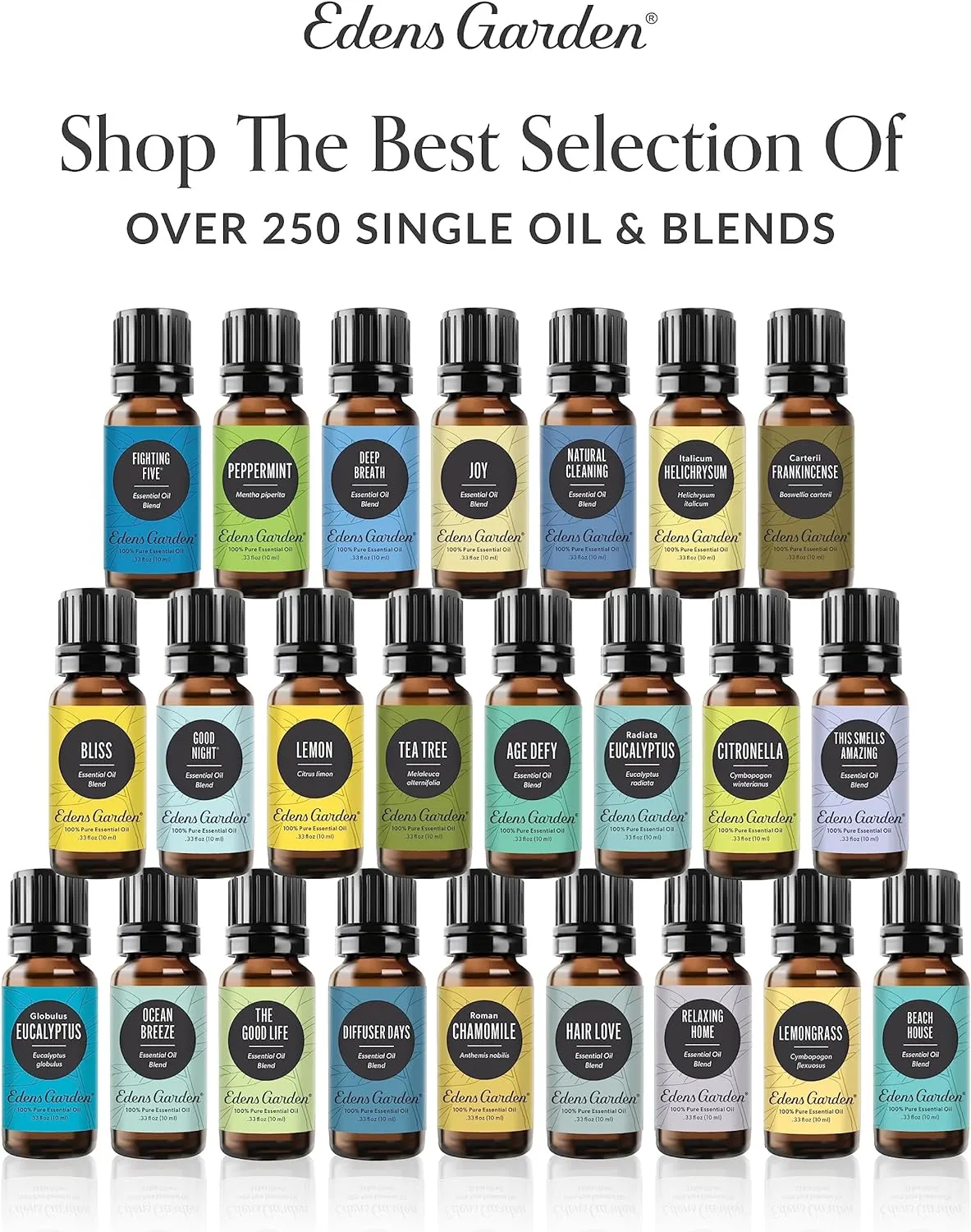 Edens Garden OK For Kids Essential Oils Roll-On 12 Set 100% Pure Therapeutic Grade, Pre-Diluted Aromatherapy Blends for Calming & Gentle Skin Care Natural & Family Friendly, Roll-On 10 ml/ 12 Pack