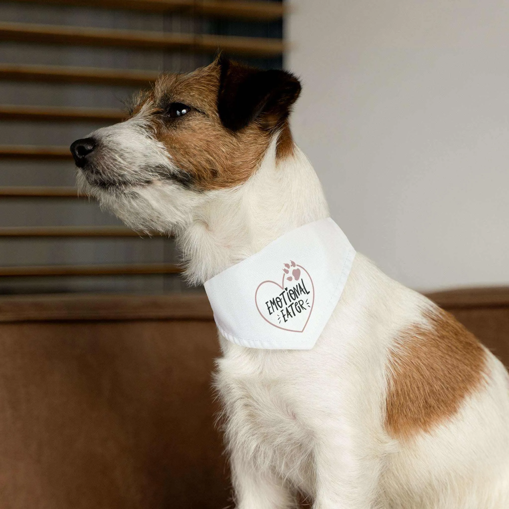 Emotional Eater Pet Bandana Collar