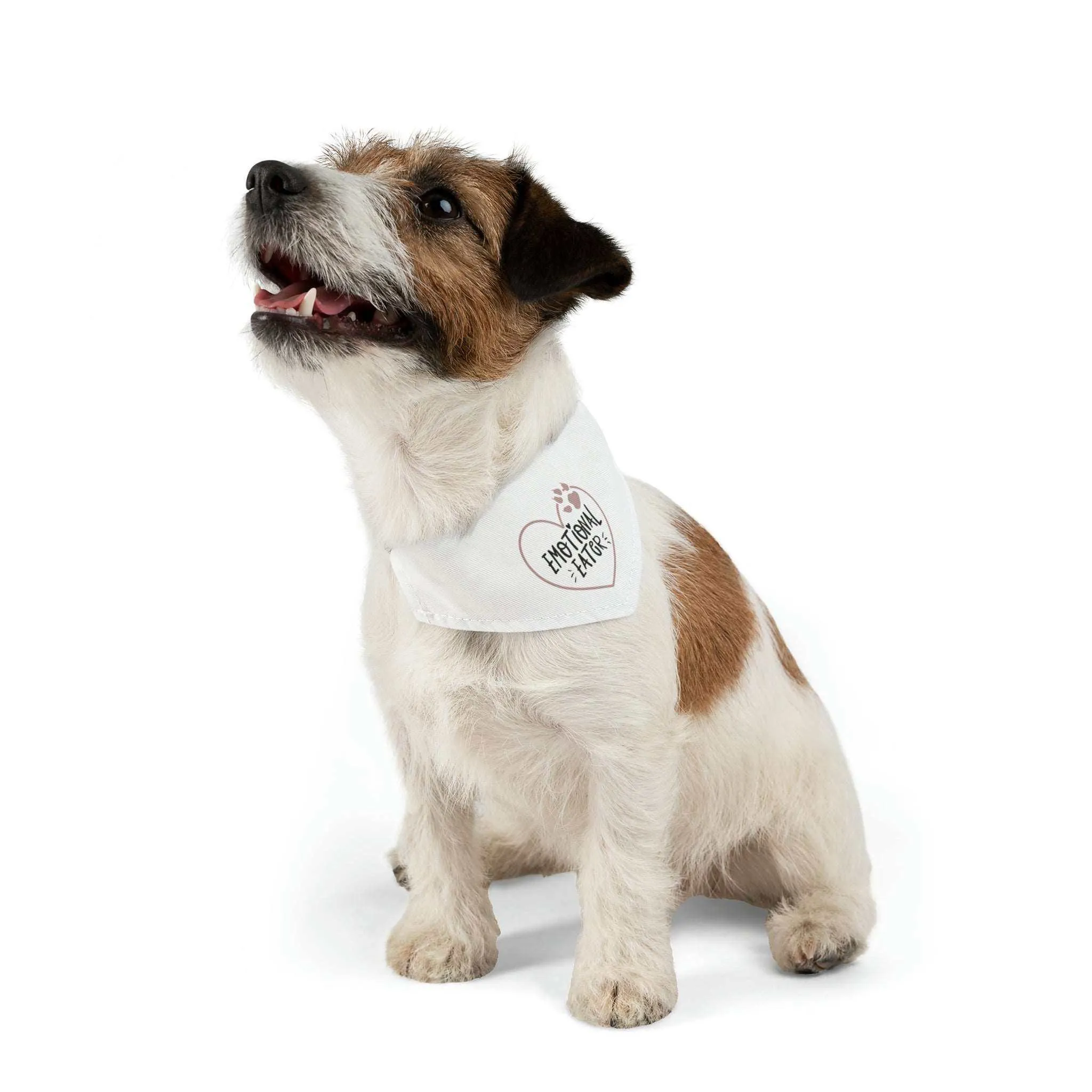 Emotional Eater Pet Bandana Collar