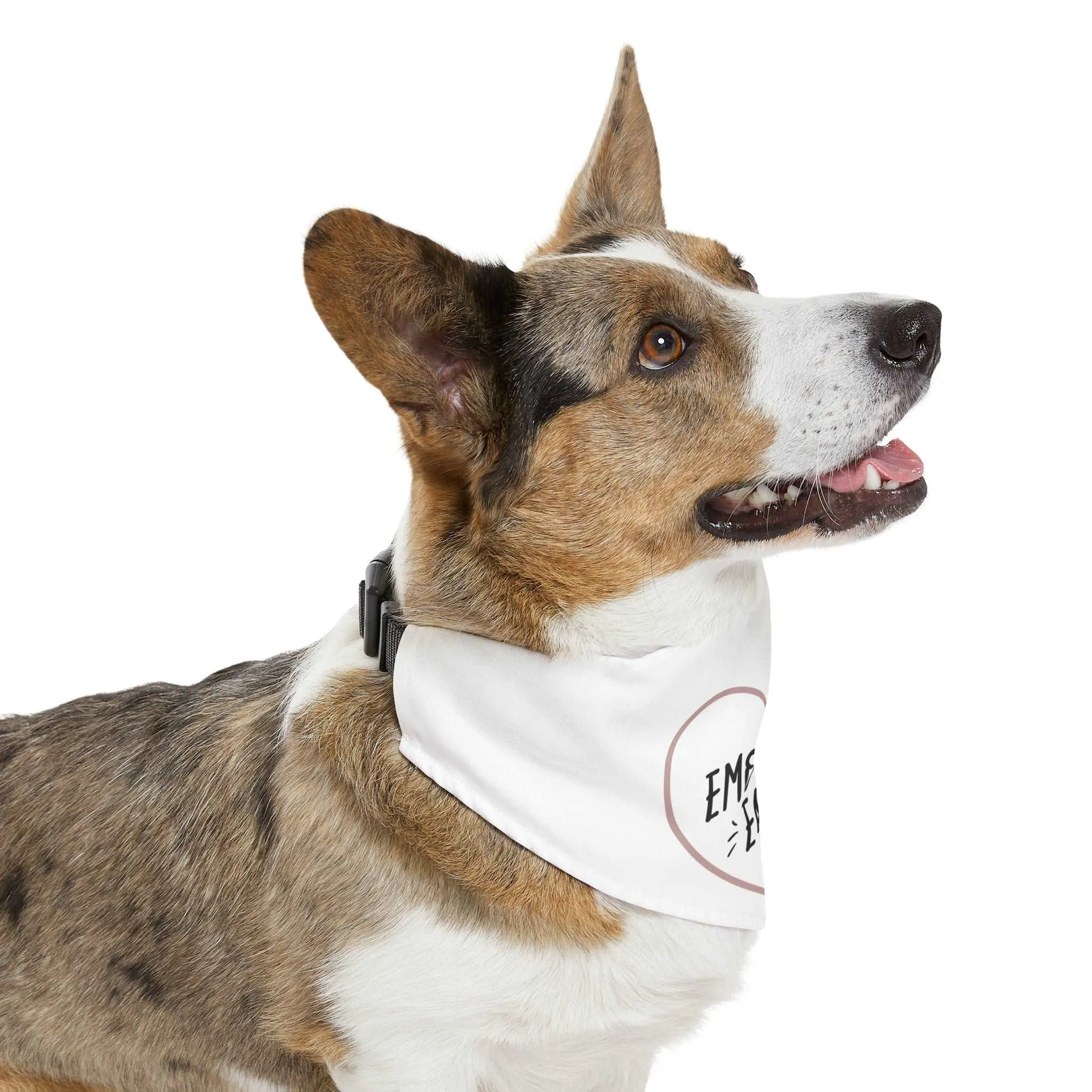 Emotional Eater Pet Bandana Collar