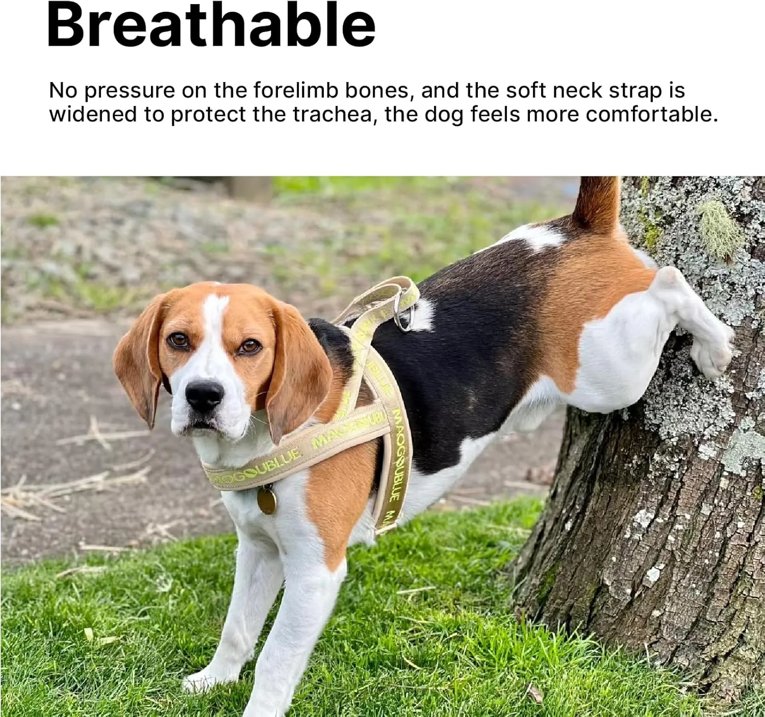 Escape-Proof Dog Harness with No-Choke Comfortable Lycra Fabric Vest and Quick-Release Buckle Easy Control Handle for Medium Dogs, Easy for Training Walking (Khaki, Medium)