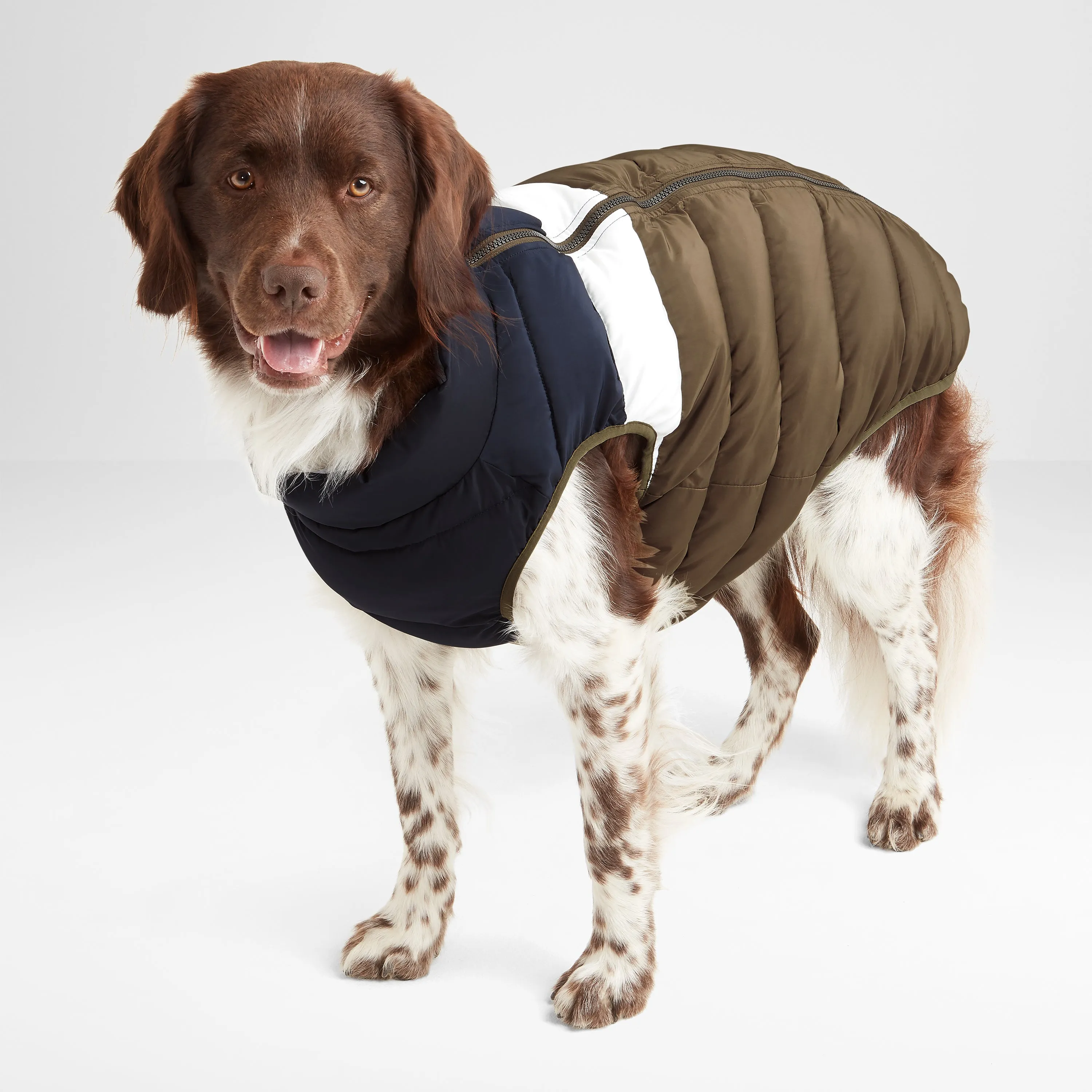 Fetch Padded Dog Coat M - Khaki/Dark Indigo/Optic White