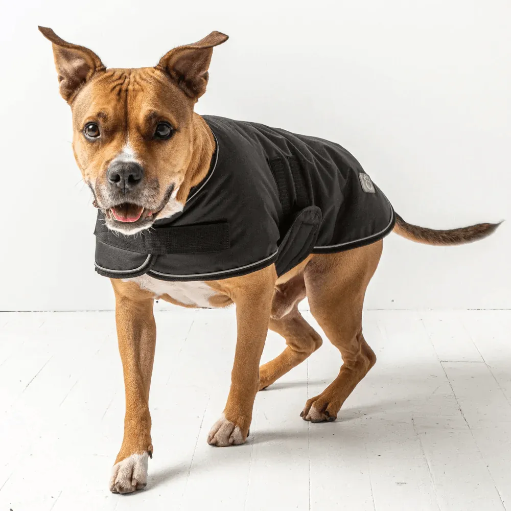 GF Pet Blanket Jacket Black For Dogs