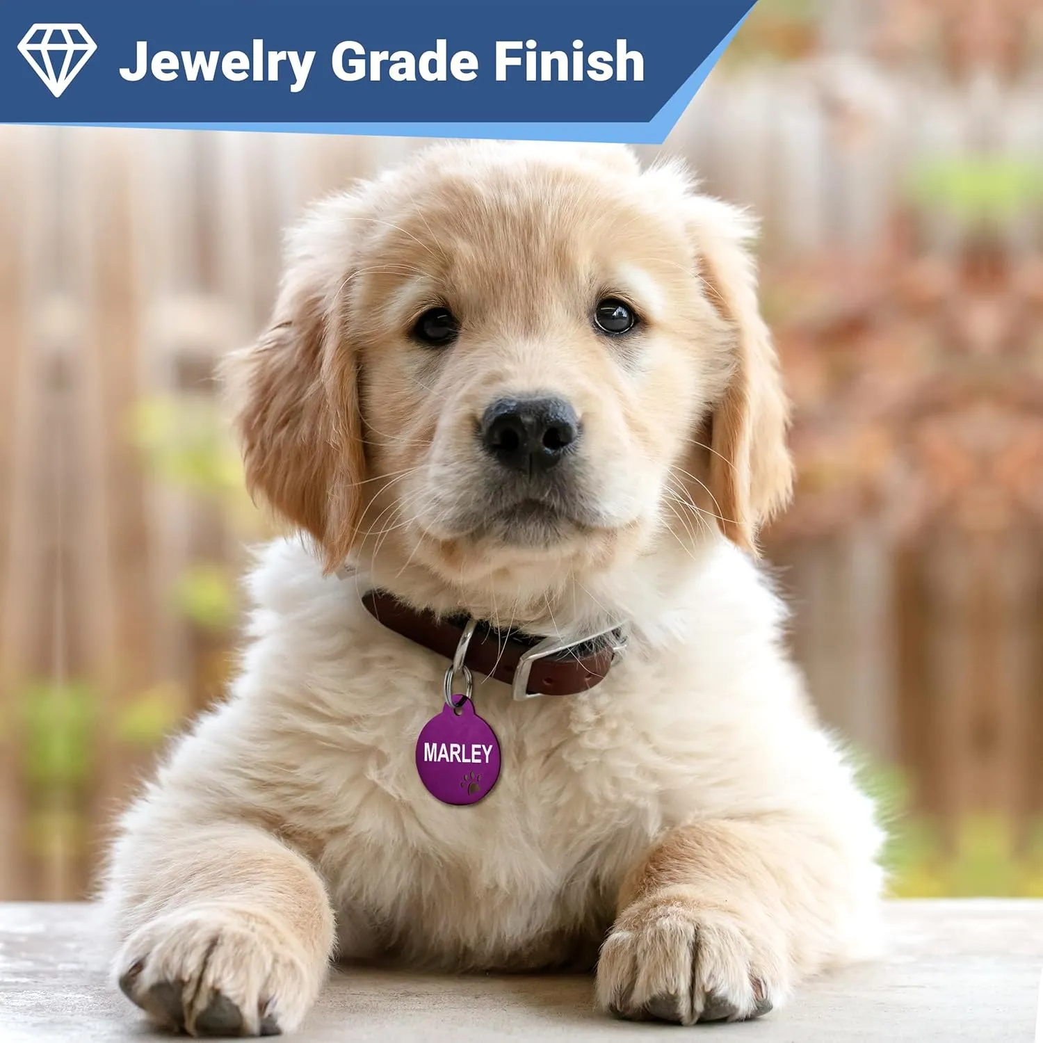 GoTags Stainless Steel Pet ID Tags with Paw Cutout, Personalized Dog Tags and Cat Tags, up to 6 Lines of Custom Text, Engraved on Both Sides in Bone, Round, and Heart (Heart, Regular)
