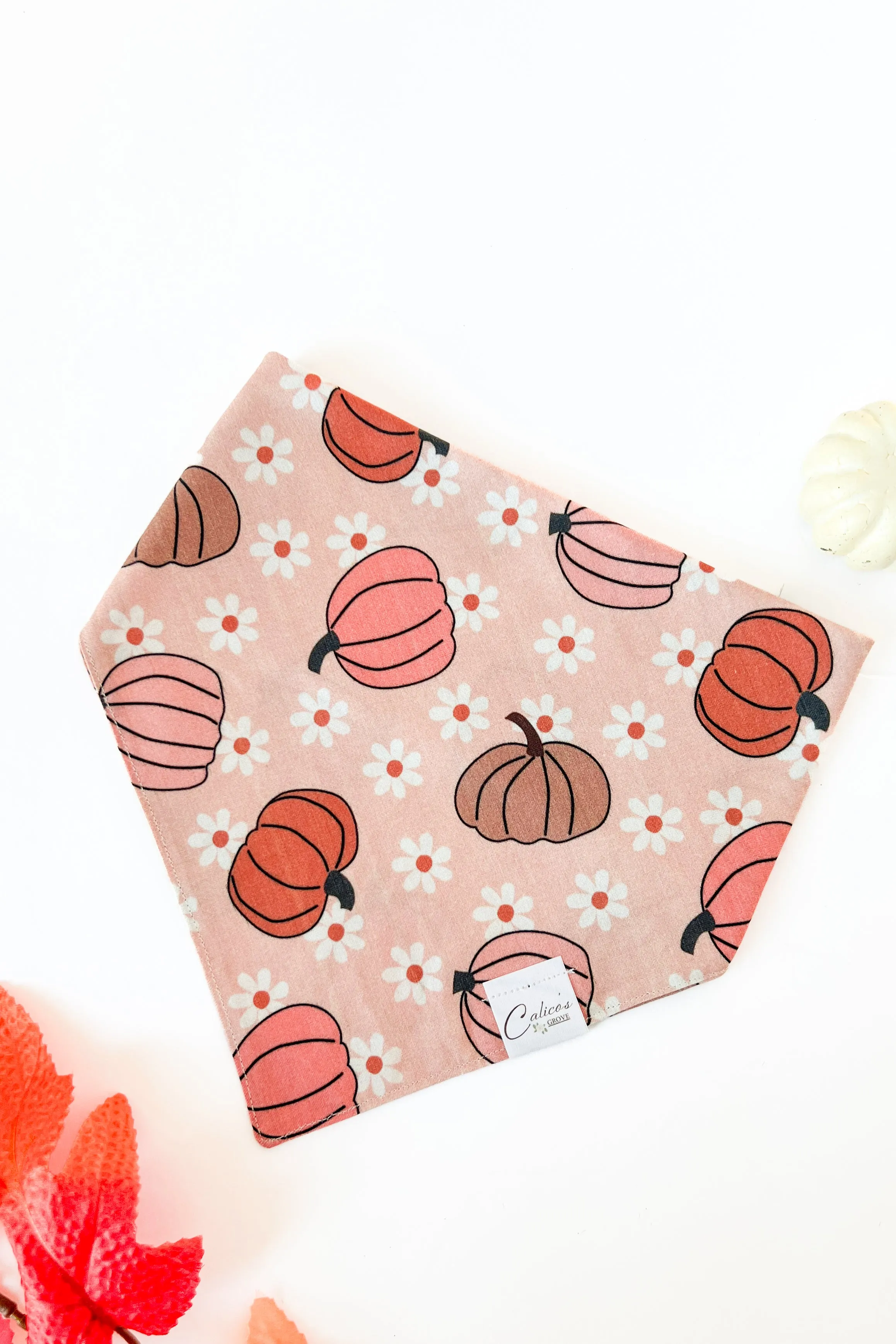 Groovy Pumpkins Bandana