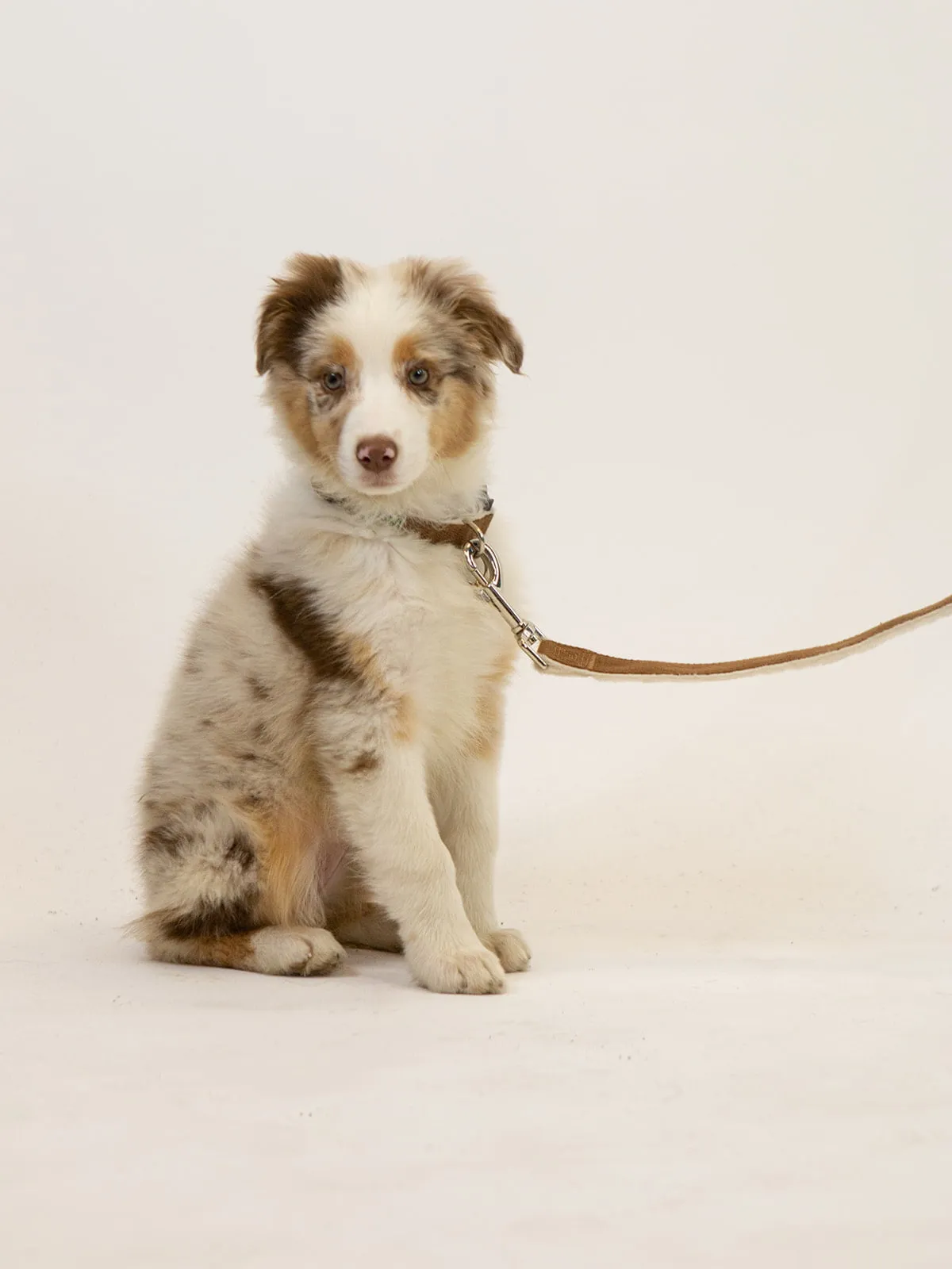 Hemp Dog Leash - Chocolate Brown