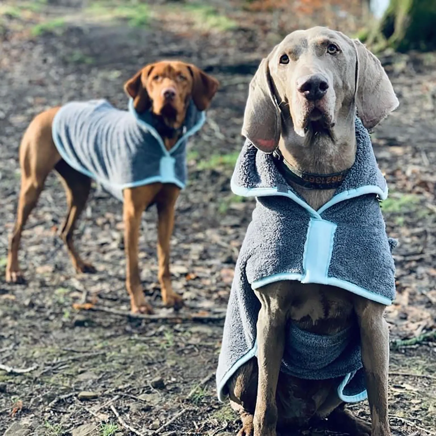Henry Wag Drying Coat