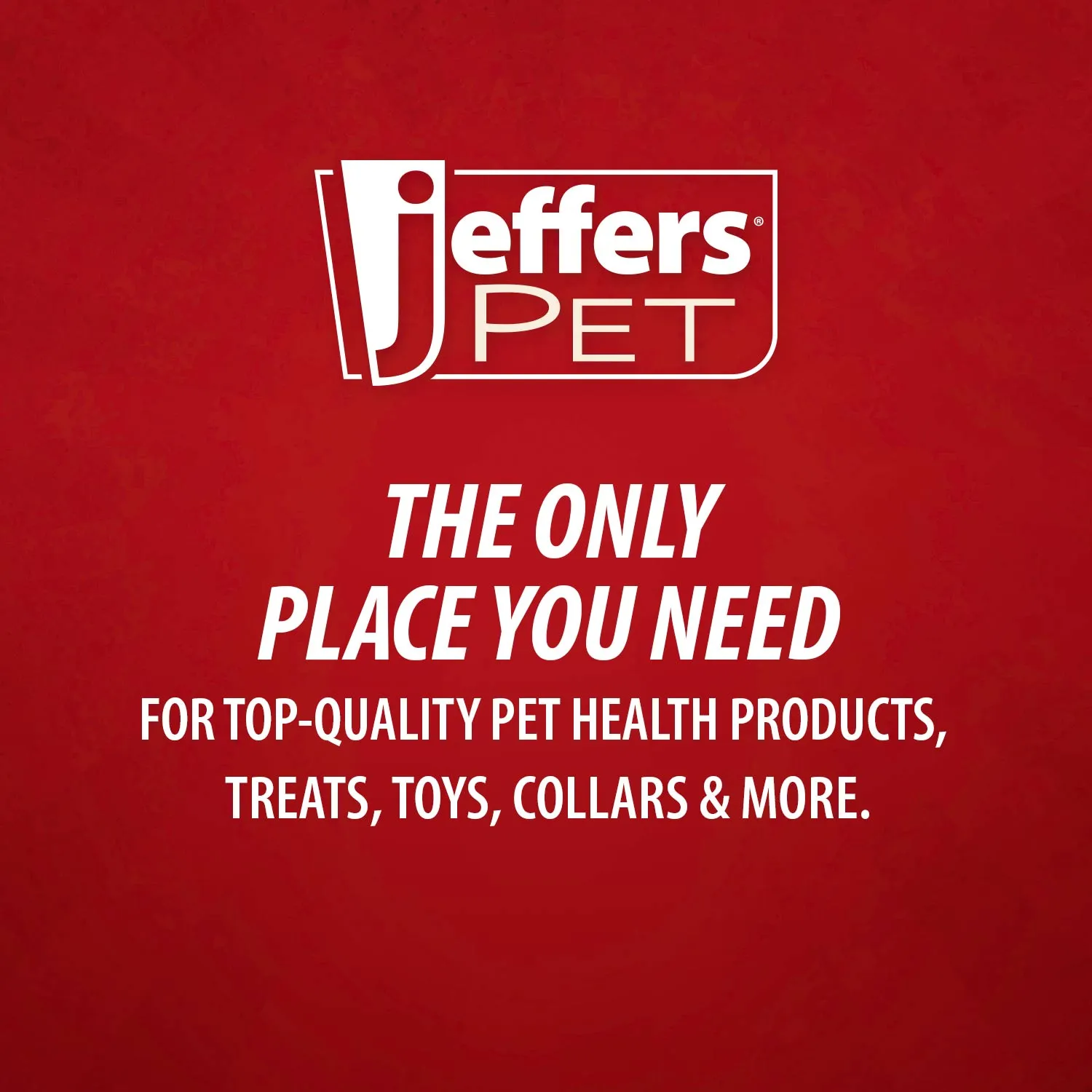 Jeffers Sensitive Skin Unscented, Dye-Free, Fragrance-Free Pet Shampoo, Gallon