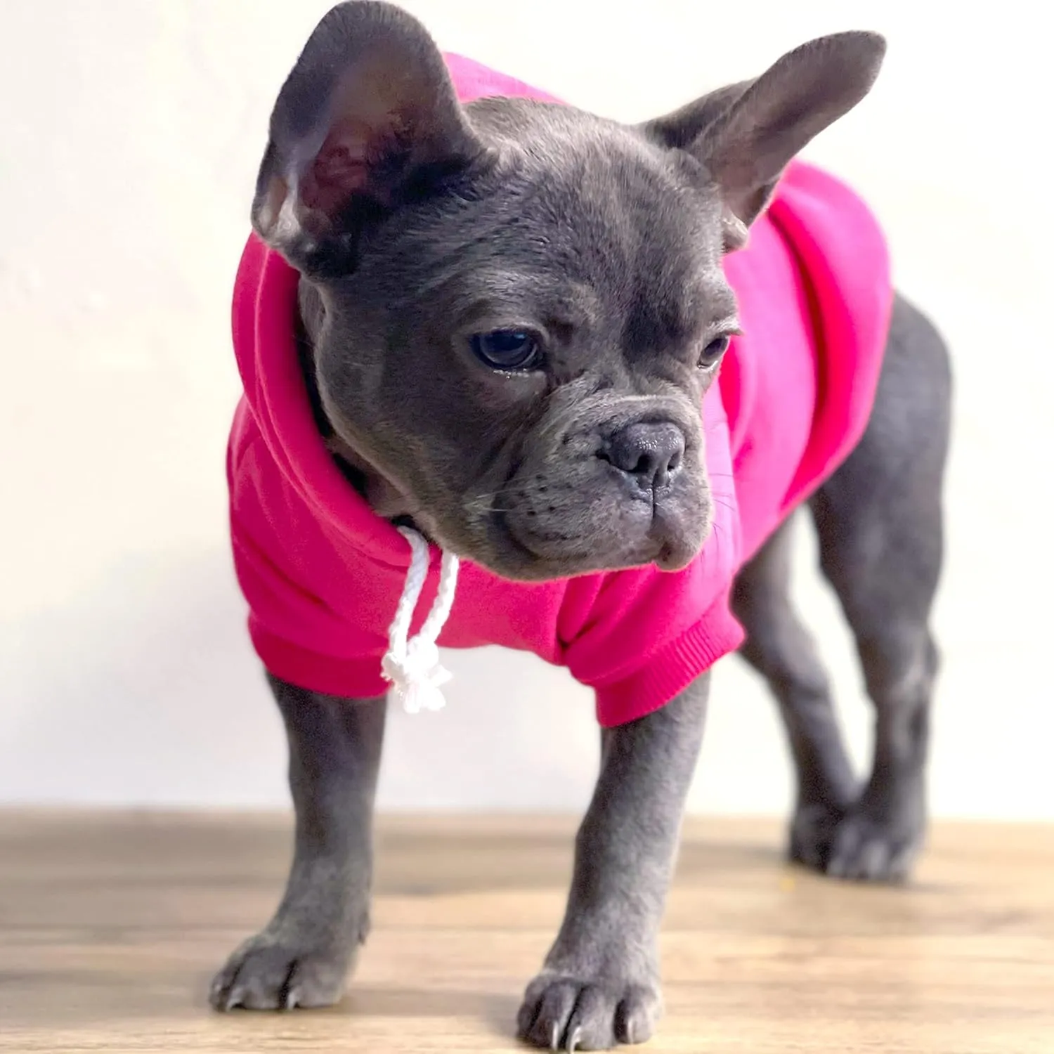 Mama's Boy Mother's Day, Valentine's Day Pullover Fleece Lined Dog Hoodie with Leash Hole Sweatshirt (Hot Pink)