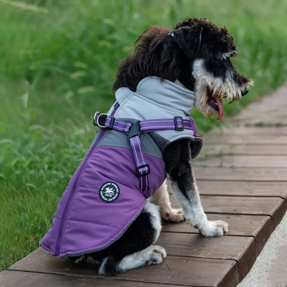 Norbi Small Dog Winter Jacket with Harness - 2 in 1 Puppy Coat