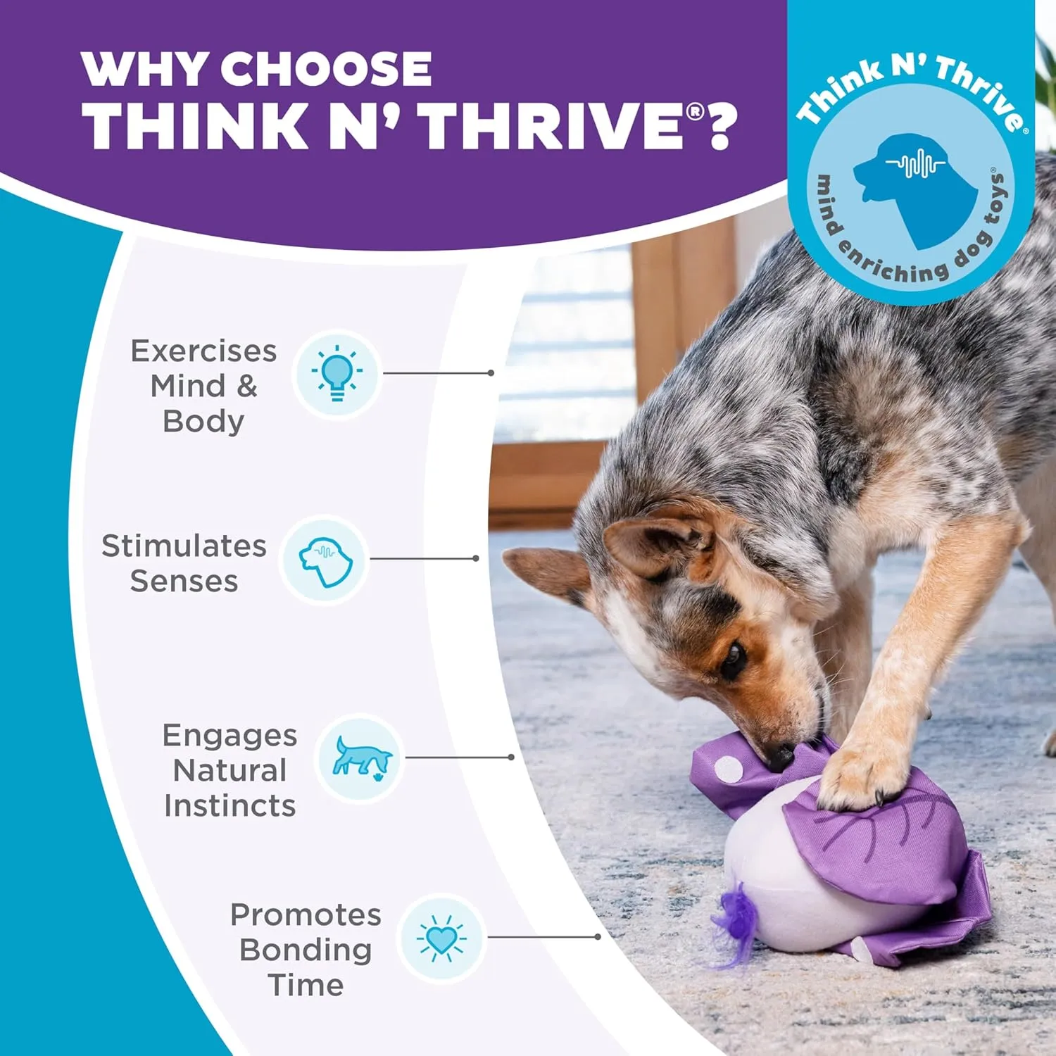 Outward Hound by Nina Ottosson Hide N' Find Interactive Plush Dog Puzzle, Durable Dog Toy, Plush Enrichment Toys, Cauliflower, Purple