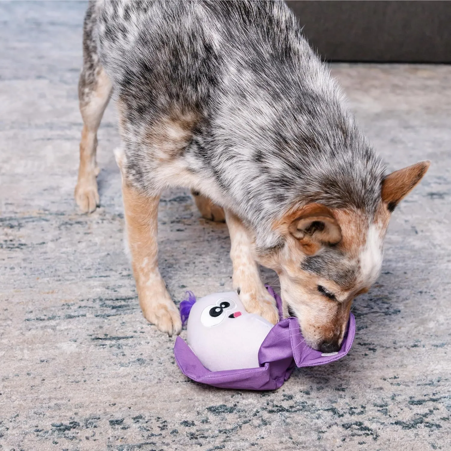 Outward Hound by Nina Ottosson Hide N' Find Interactive Plush Dog Puzzle, Durable Dog Toy, Plush Enrichment Toys, Cauliflower, Purple