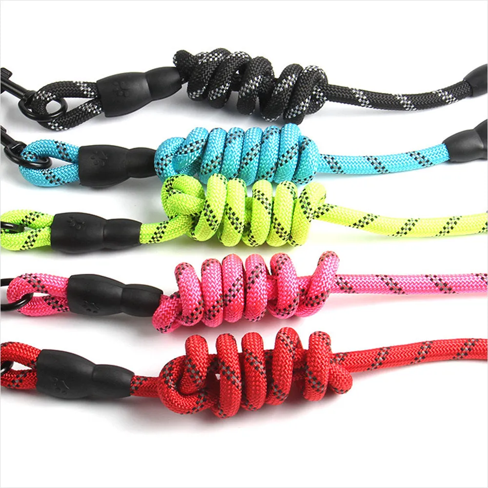 PAWS ASIA China Suppliers Safety Training Nylon Personalized Pet Leash Sets