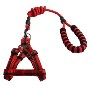 PAWS ASIA China Suppliers Safety Training Nylon Personalized Pet Leash Sets