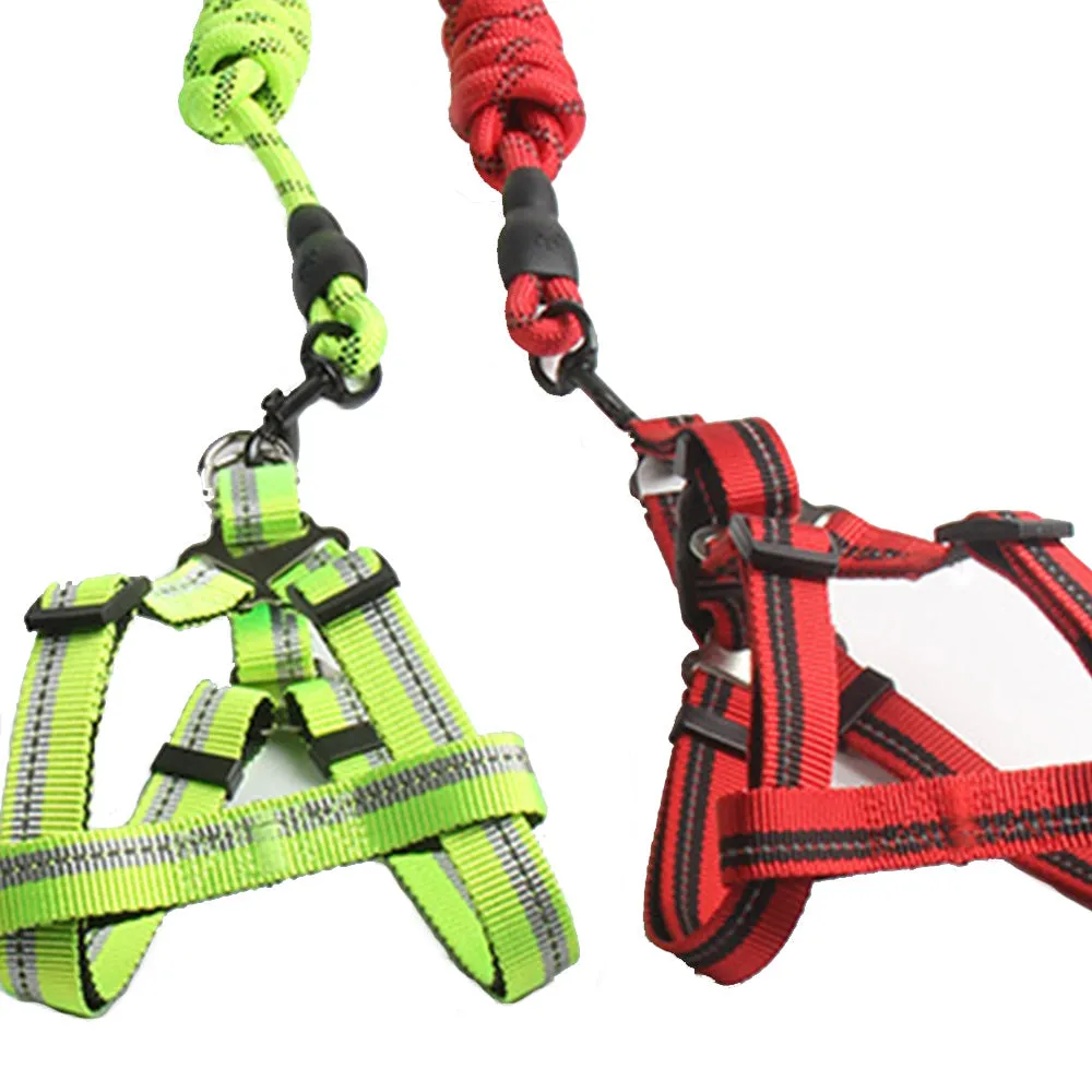 PAWS ASIA China Suppliers Safety Training Nylon Personalized Pet Leash Sets