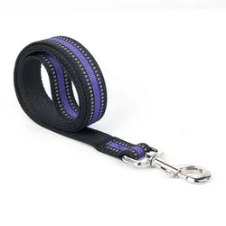 PAWS ASIA Manufacturers Dropshipping Reflective Polyester Cheap Comfort Dog Leash
