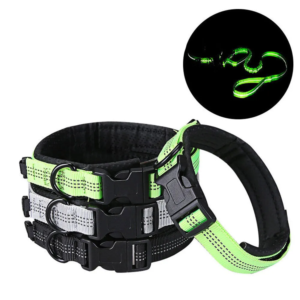 PAWS ASIA Suppliers Nylon Luxury Personalized Modern Novel Design Reflective Large Pets Dog Collar