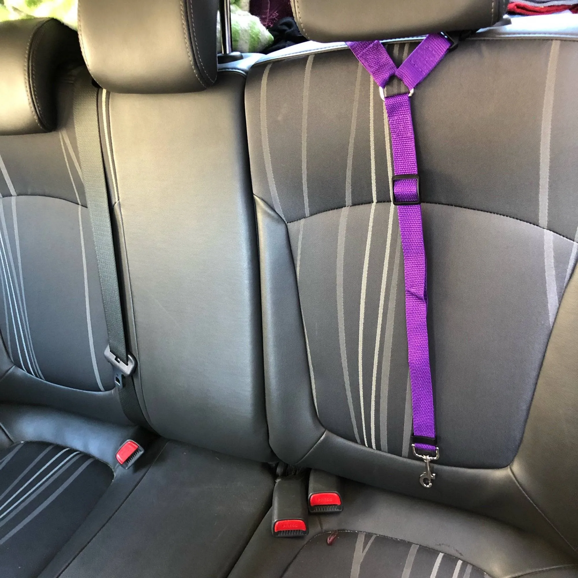 Pet  Car Seat Belt  - BackSeat Safety Belt Adjustable protect your pet