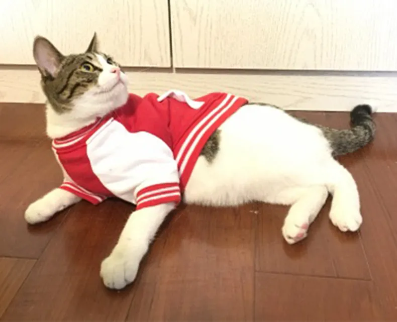 Pet / Dog /Cat Varsity Jacket